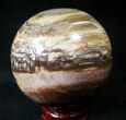 Colorful Petrified Wood Sphere #20612-2